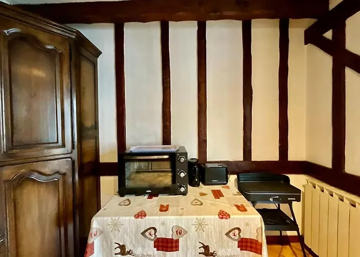 아파트 Le Grand Ours, Spacieux Avec Terrasse 종루프 롱지메르